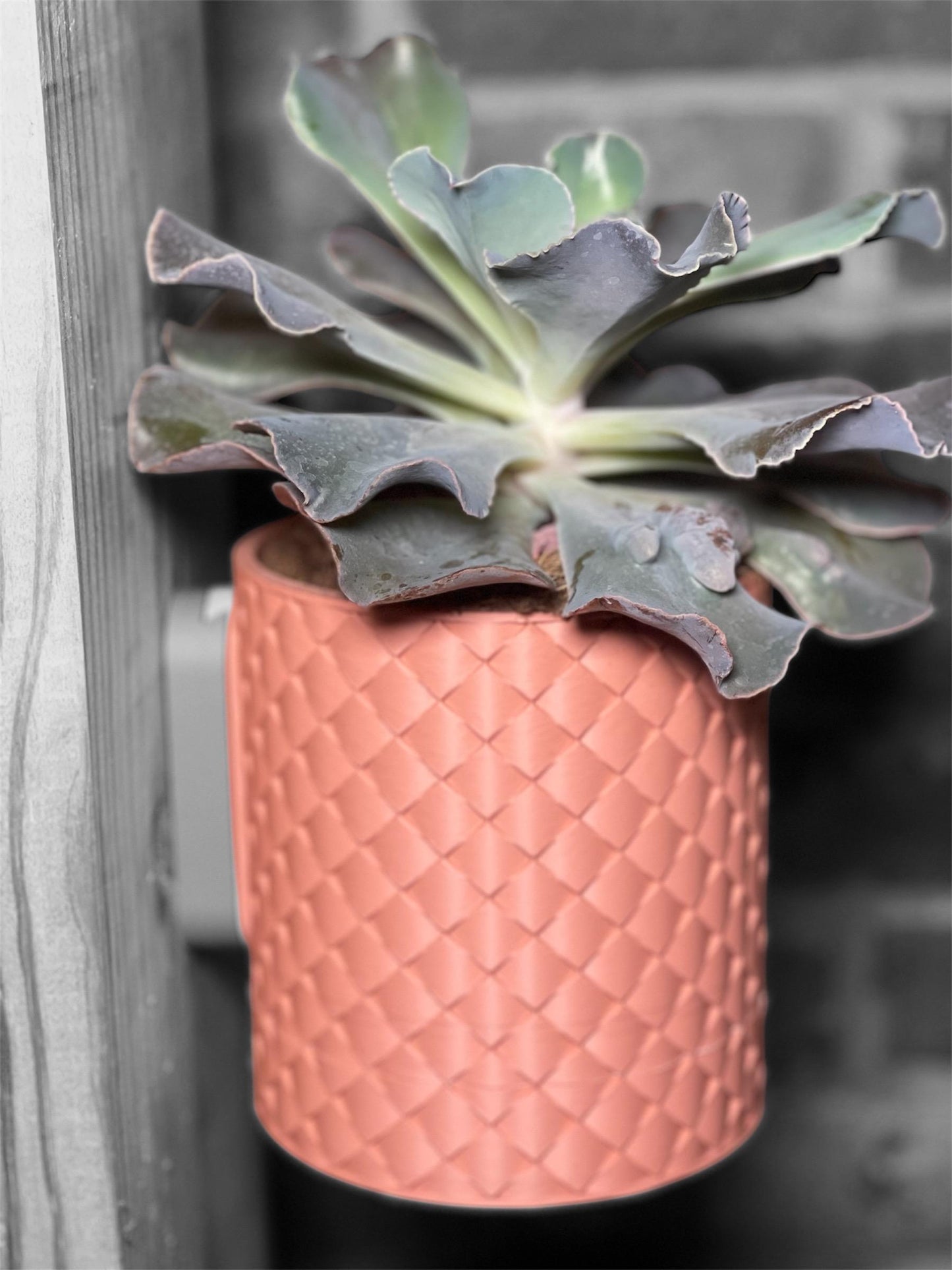 3d Wall Hanging Plant pot.